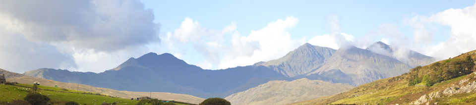 Environmental Policy